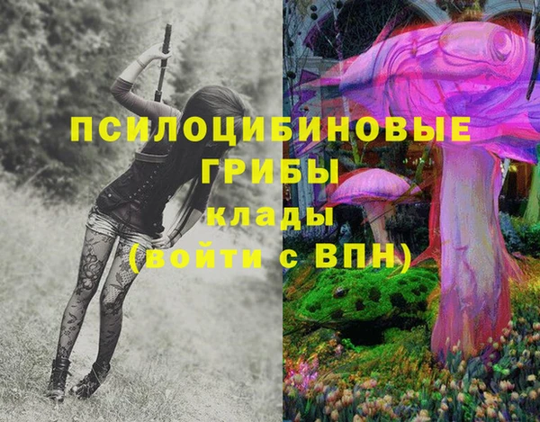 jwh Белокуриха