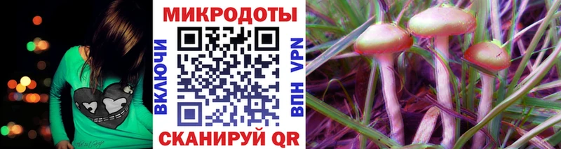 Галлюциногенные грибы Psilocybe Верея