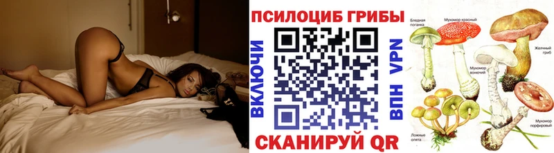 купить наркотик  Верея  блэк спрут ССЫЛКА  Псилоцибиновые грибы мухоморы 